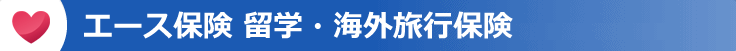 10ACE-kaigai-hoken